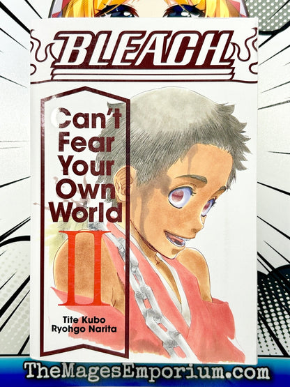 Bleach Can't Fear Your Own World Vol 2