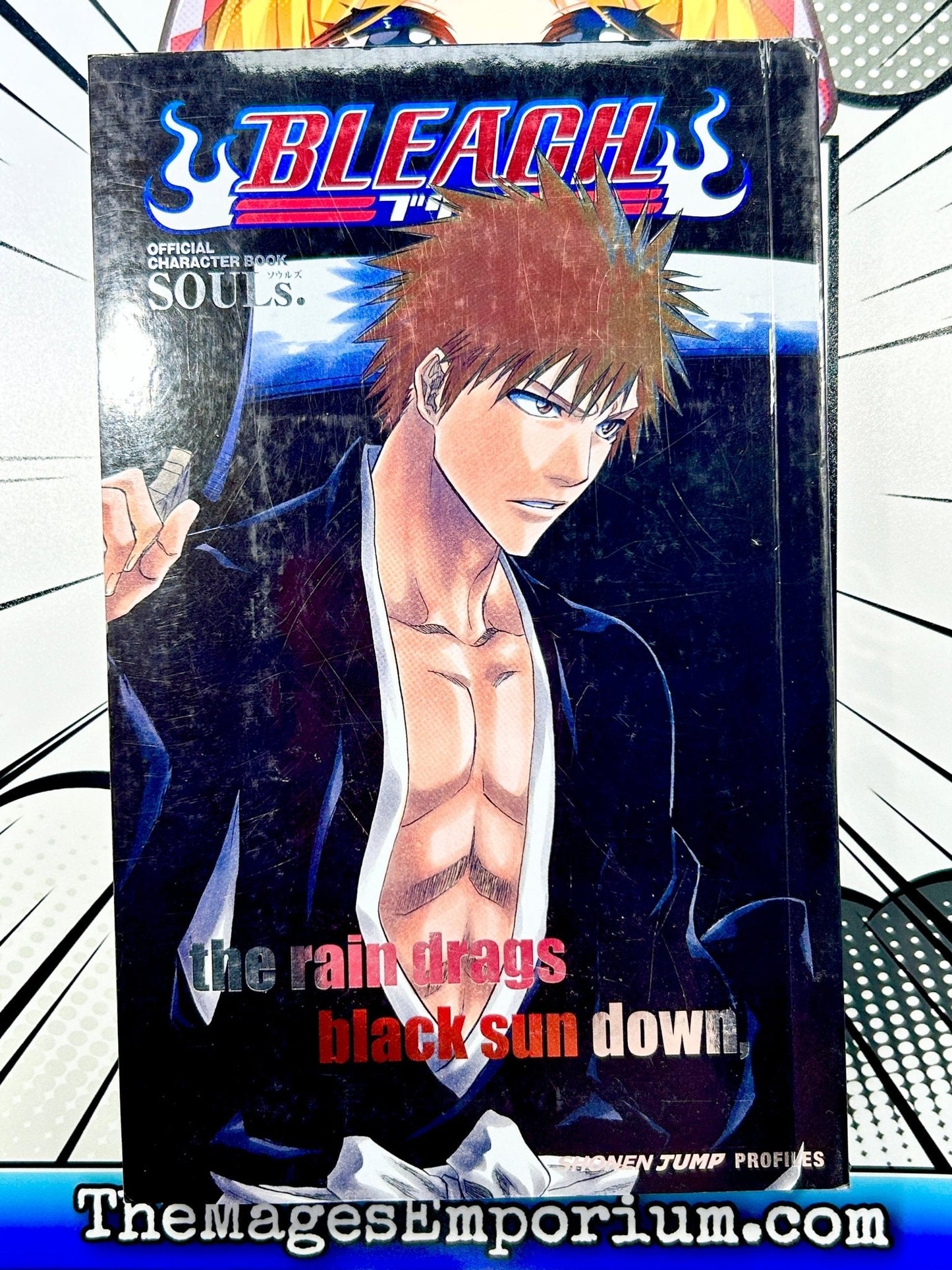 Bleach Official Character Book Souls