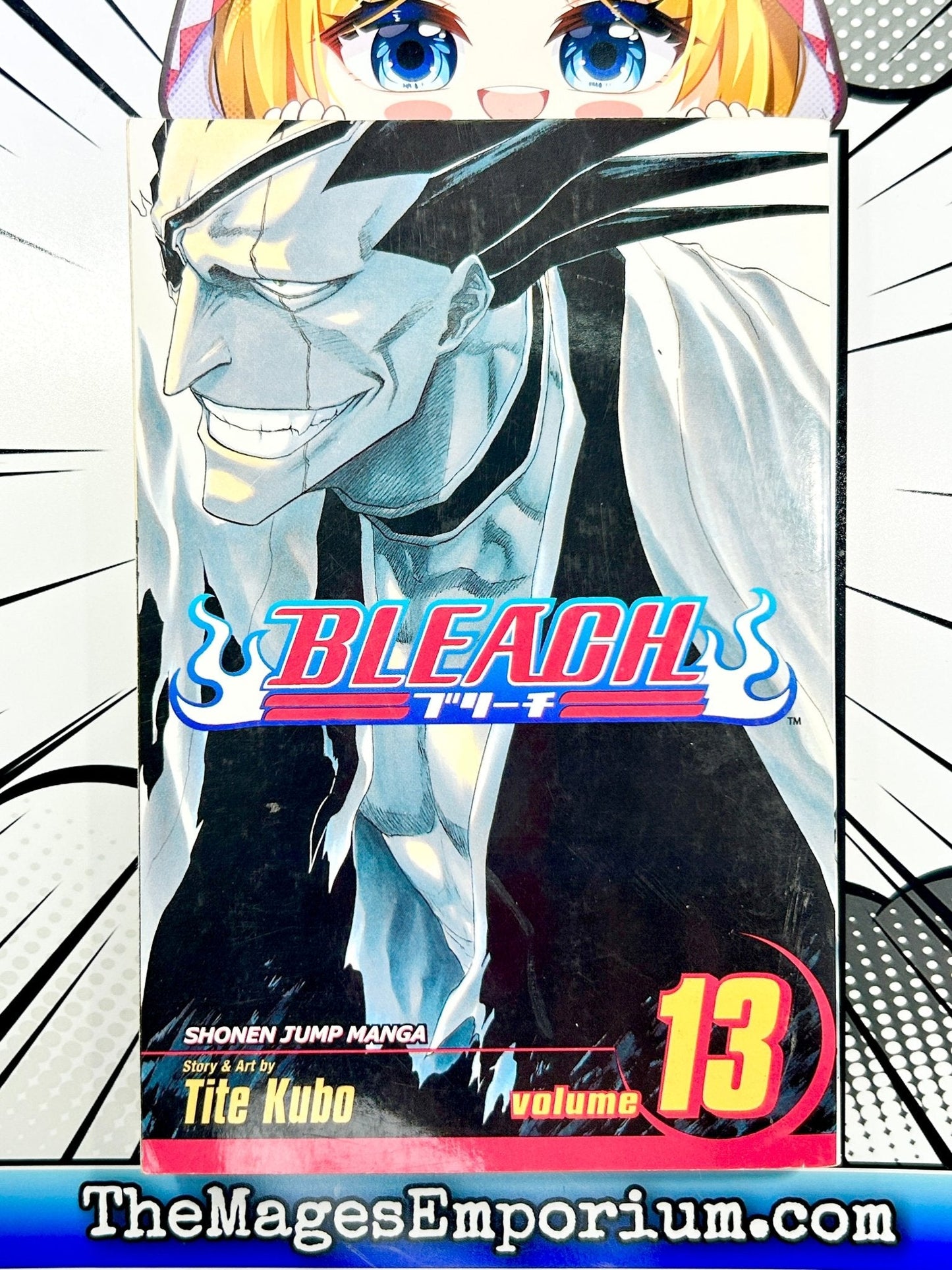 Bleach Vol 13