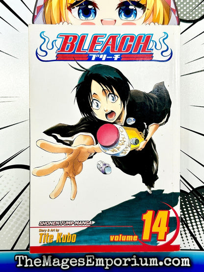 Bleach Vol 14