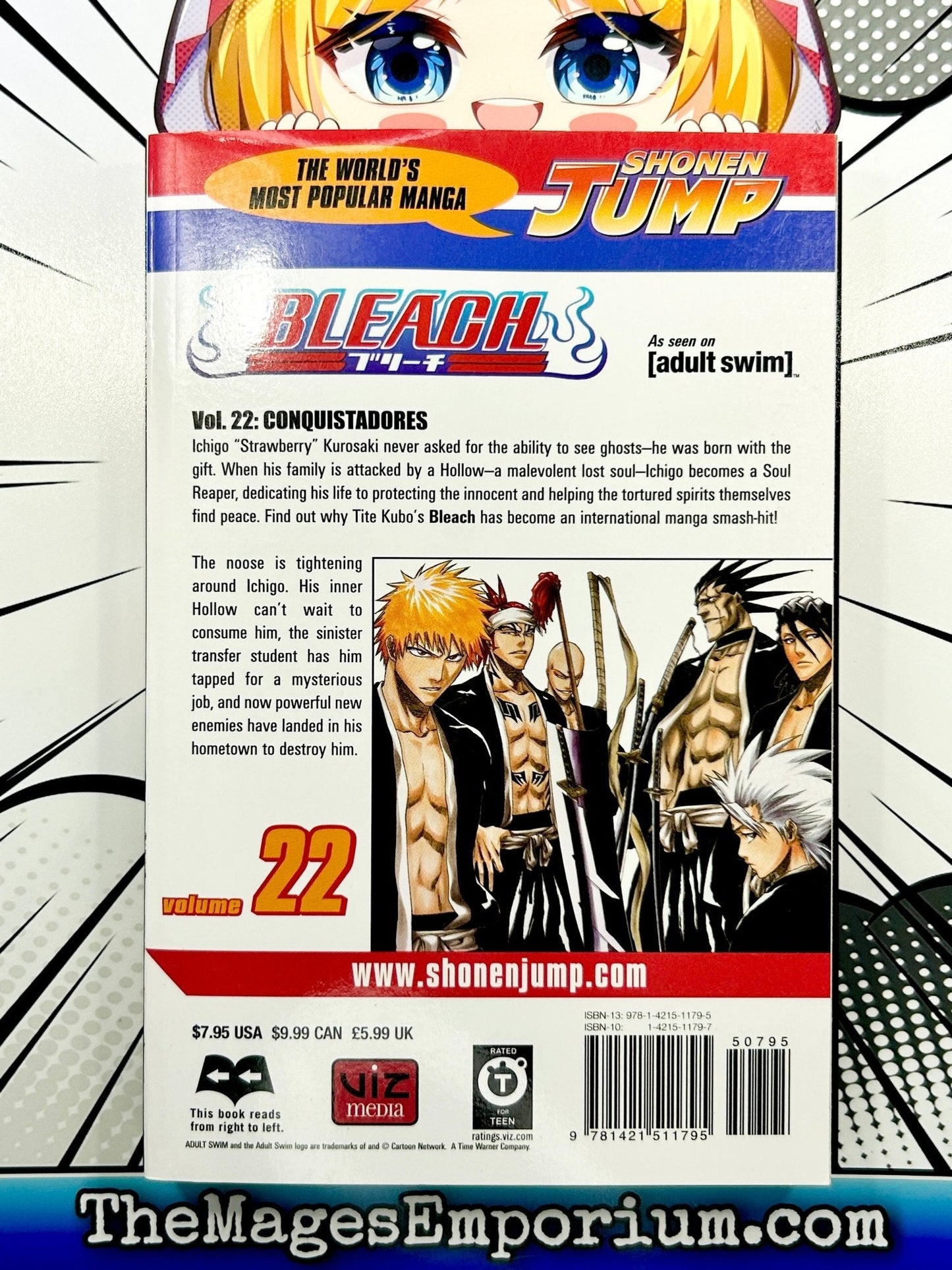 Bleach Vol 22