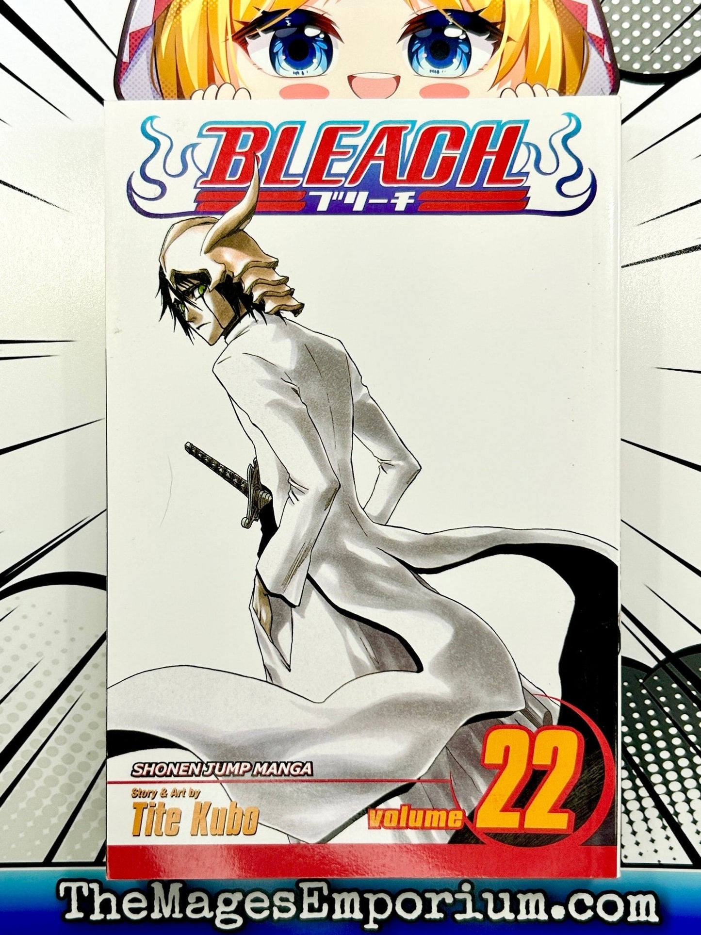 Bleach Vol 22