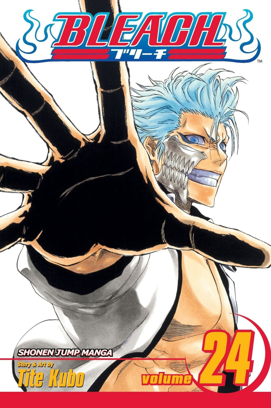 bleach-vol-24-128553_1024x.jpg