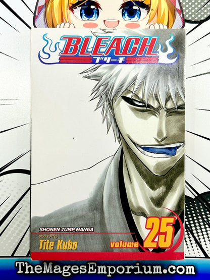 Bleach Vol 25