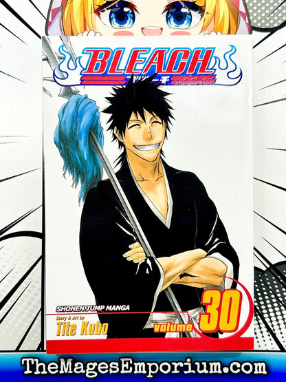 Bleach Vol 30