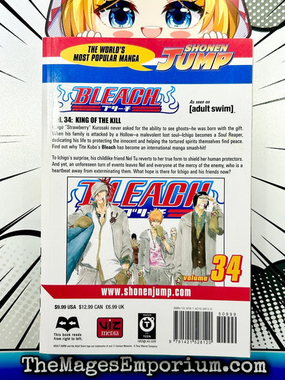 Bleach Vol 34