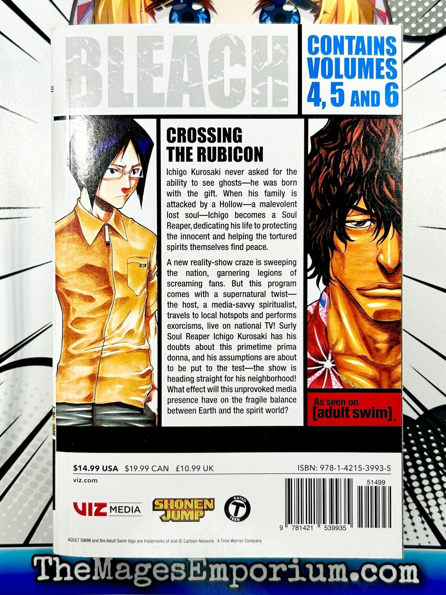 Bleach Vol 4-6 Omnibus