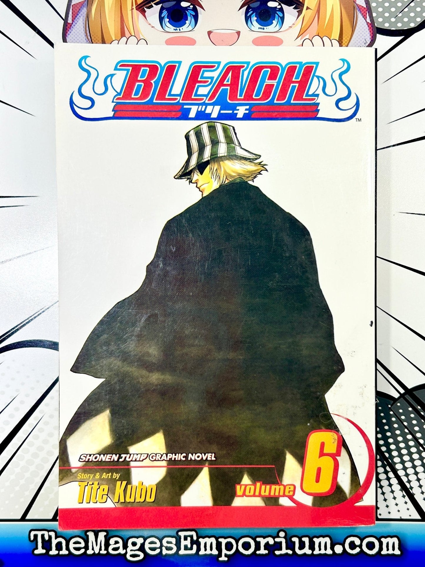 Bleach Vol 6