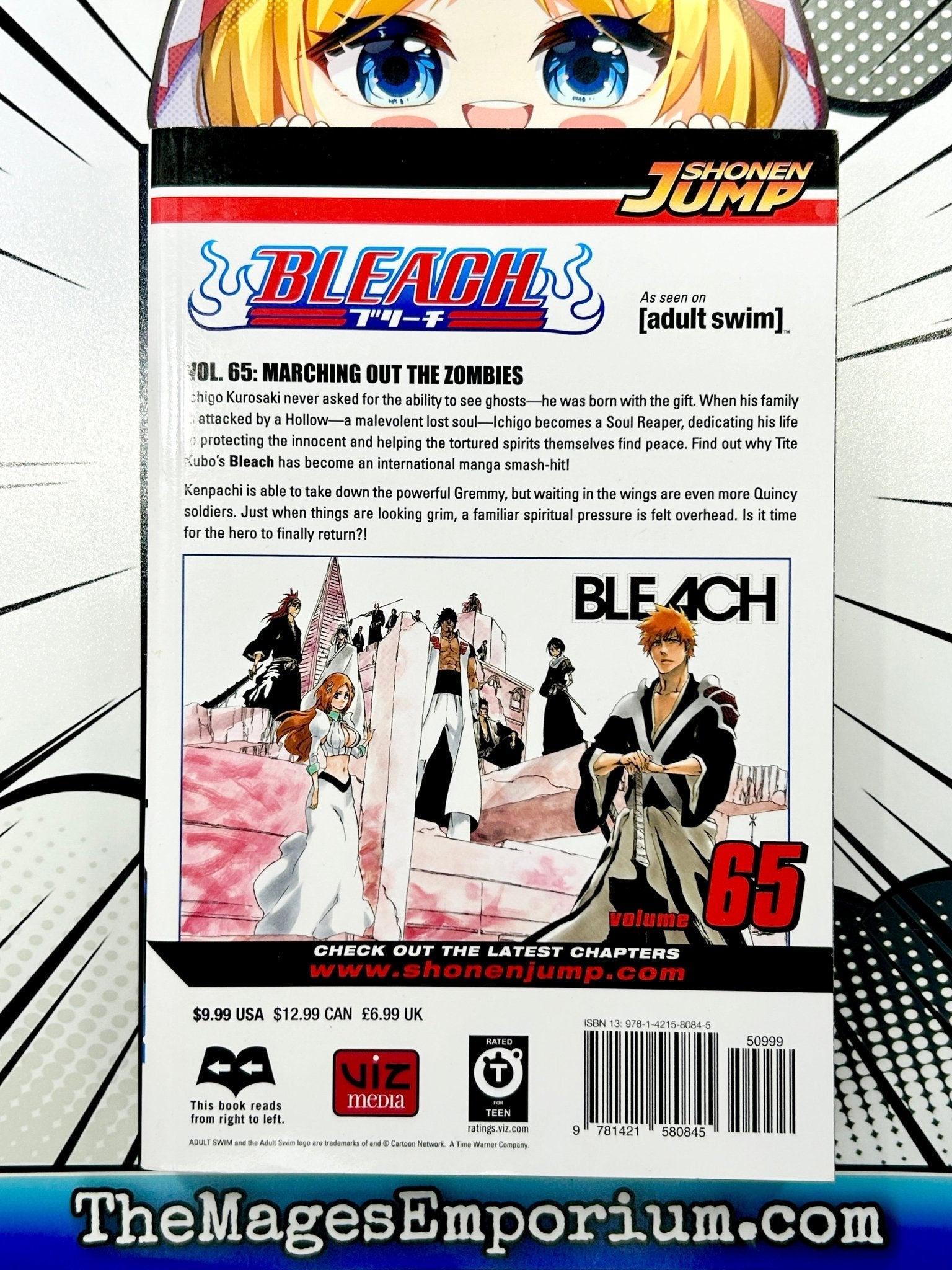 Bleach Vol 65 – Super Anime Store
