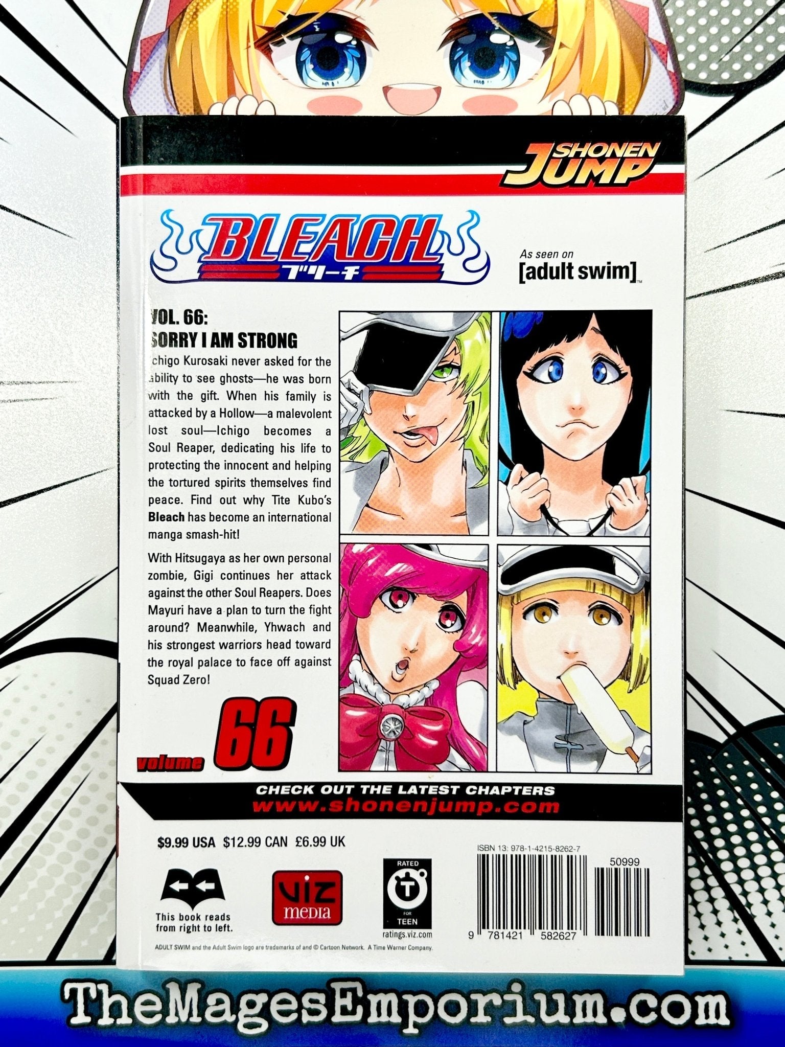 Bleach Vol 66 – Super Anime Store