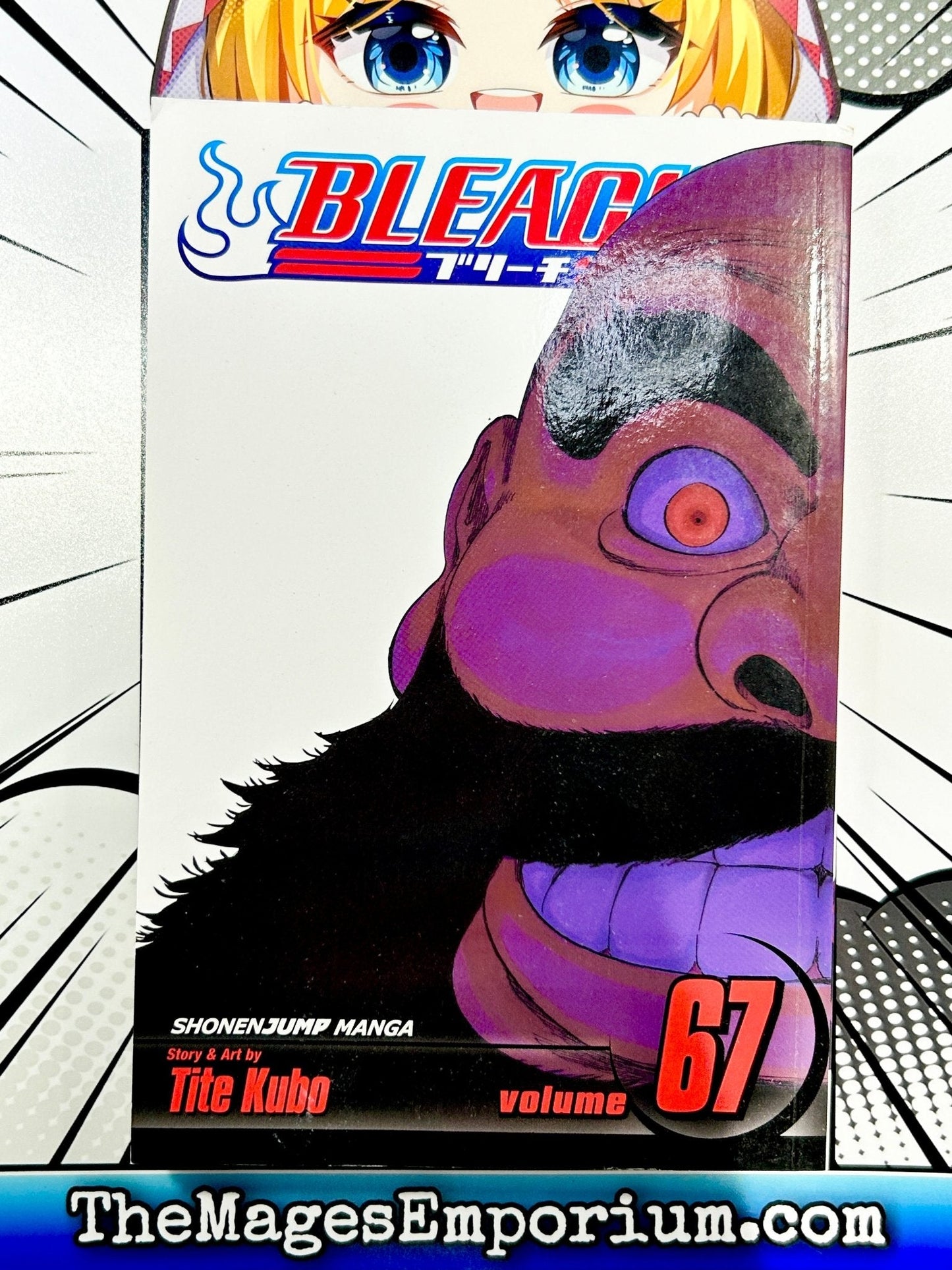 Bleach Vol 67