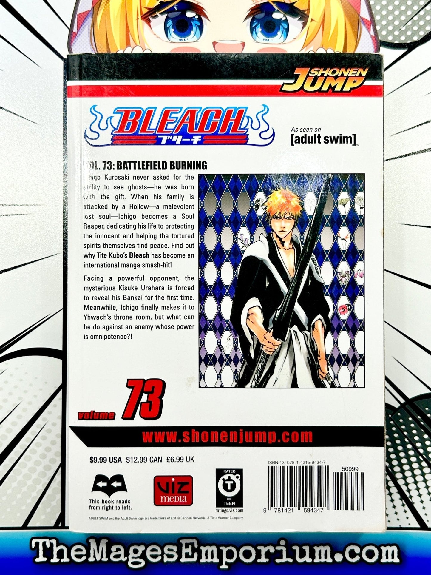 Bleach Vol 73
