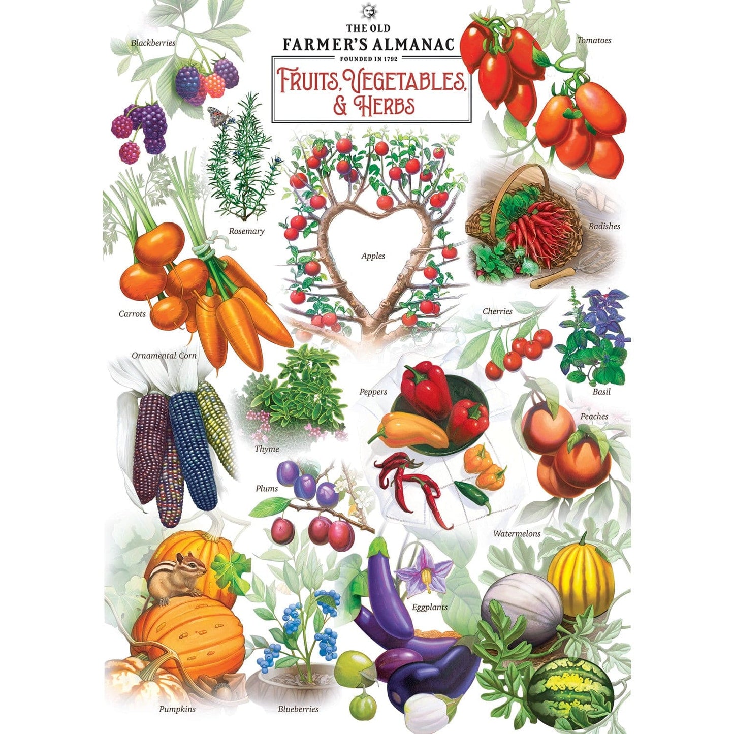 Farmer's Almanac - Fruits, Vegetables, & Herbs 1000 Piece Jigsaw Puzzle