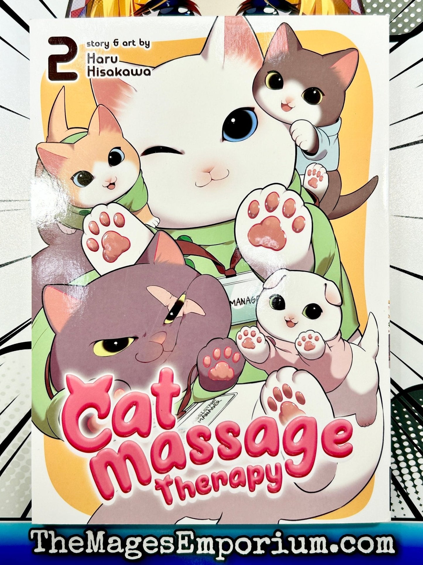 Cat Massage Therapy Vol 2