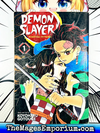 Demon Slayer Vol 1