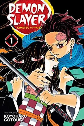 Demon Slayer Vol 1