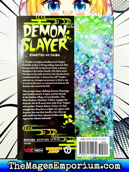 Demon Slayer Vol 13