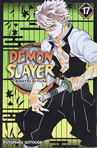 Demon Slayer Vol 17