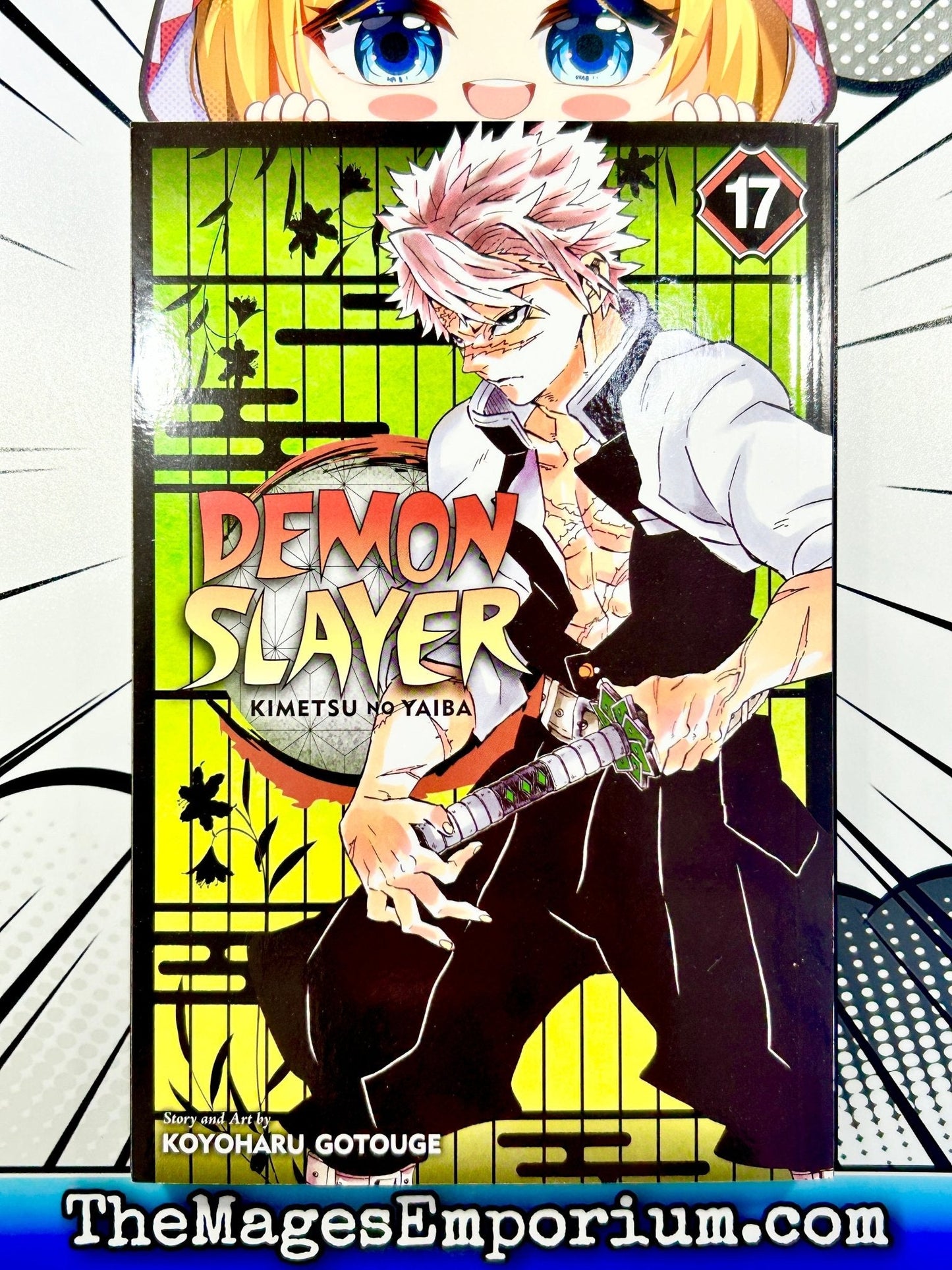 Demon Slayer Vol 17