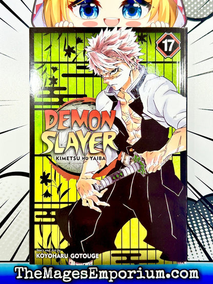 Demon Slayer Vol 17