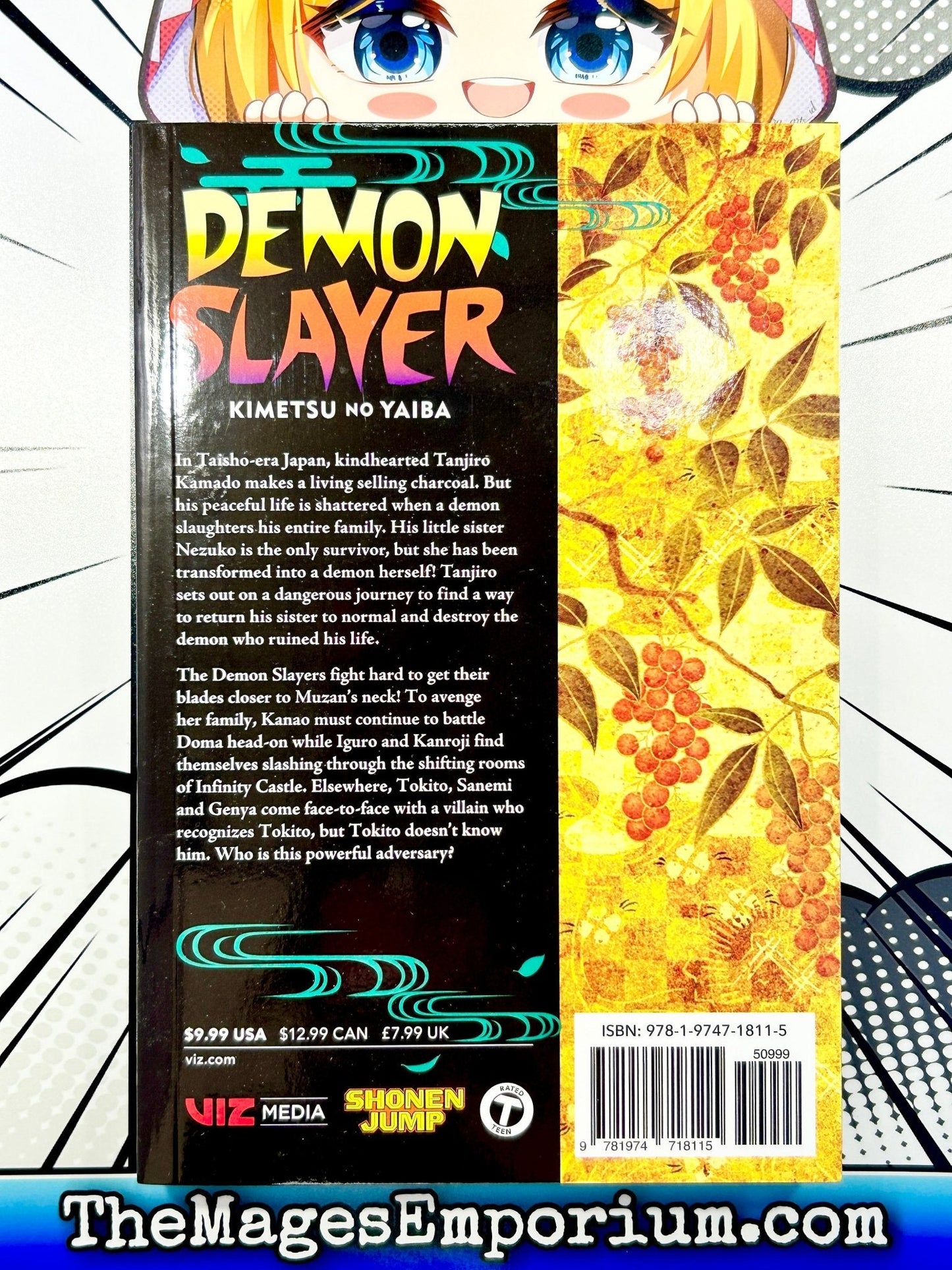 Demon Slayer Vol 19