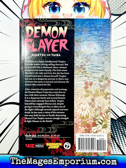 Demon Slayer Vol 22