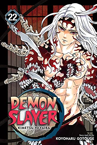 Demon Slayer Vol 22