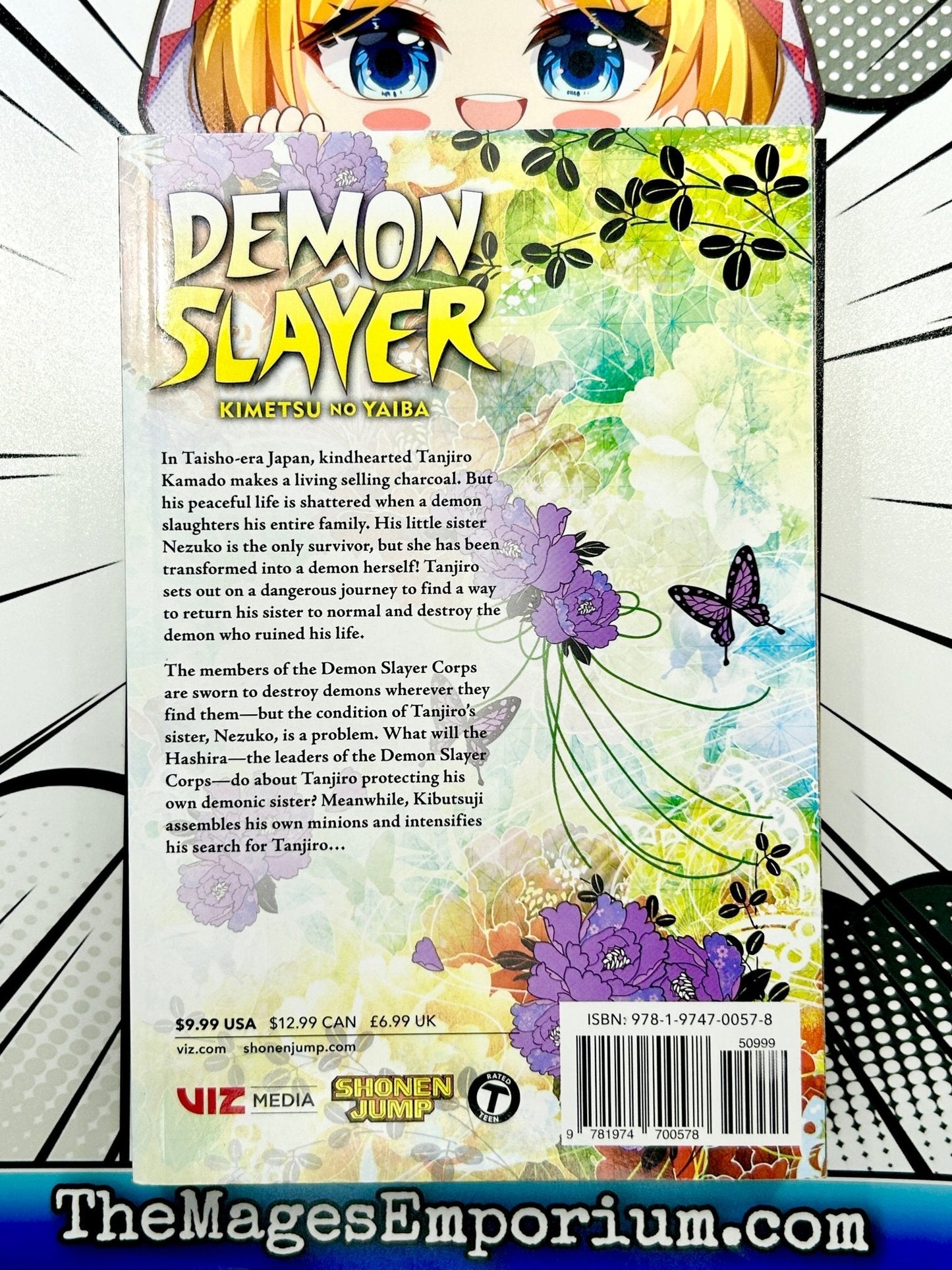 Demon Slayer Vol 6