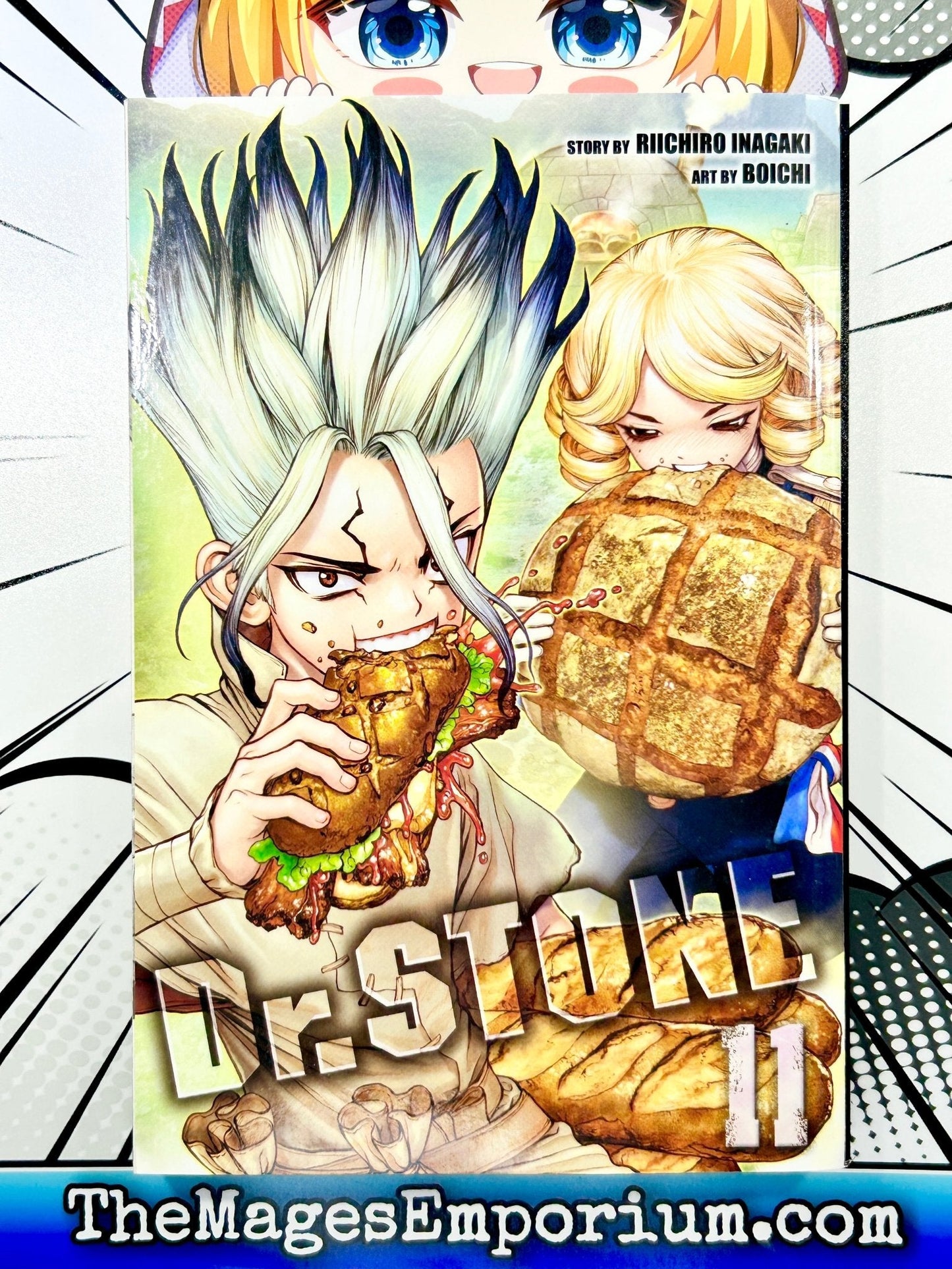 Dr. Stone Vol 11