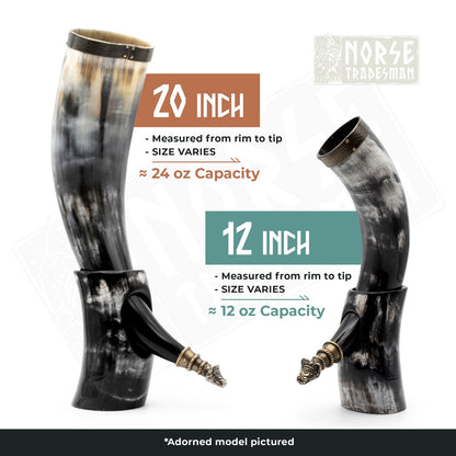 Curved Drinking Horn Bundle with Stand & Holster