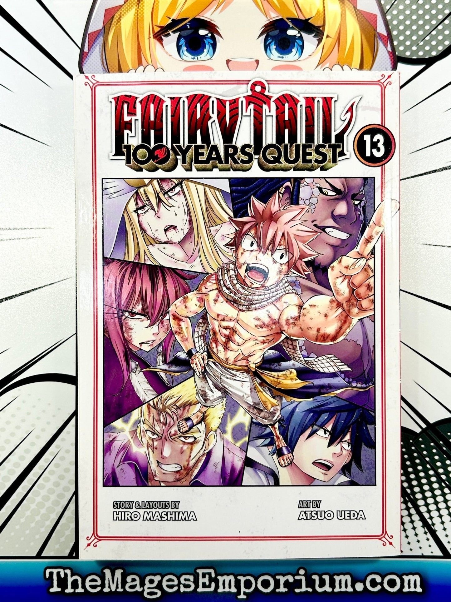 Fairy Tail 100 Years Quest Vol 13