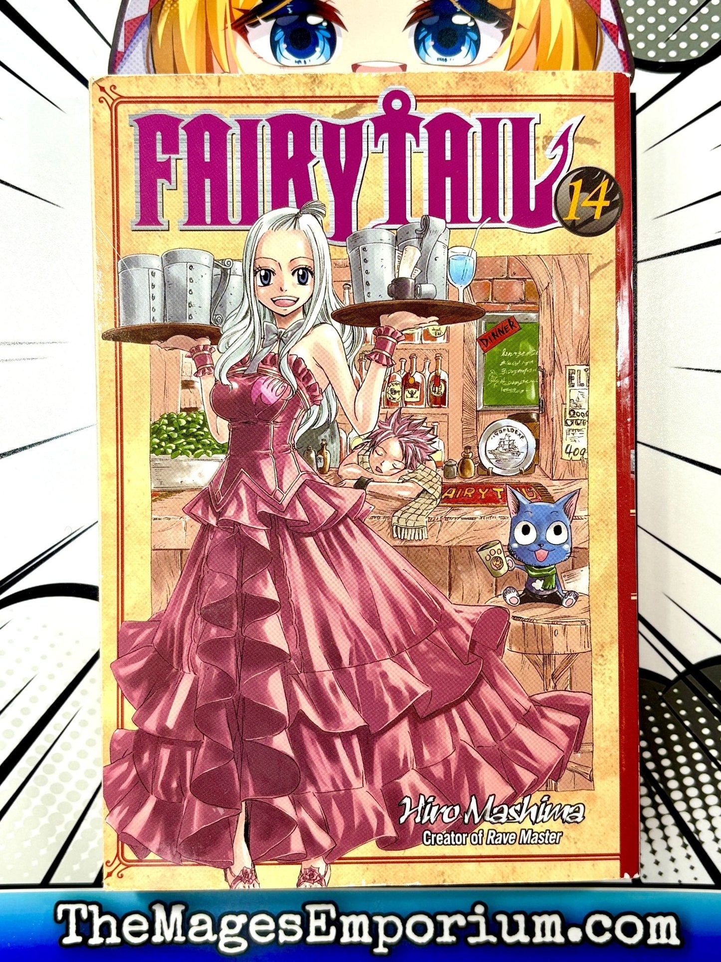 Fairy Tail Vol 14 Five Below Cover