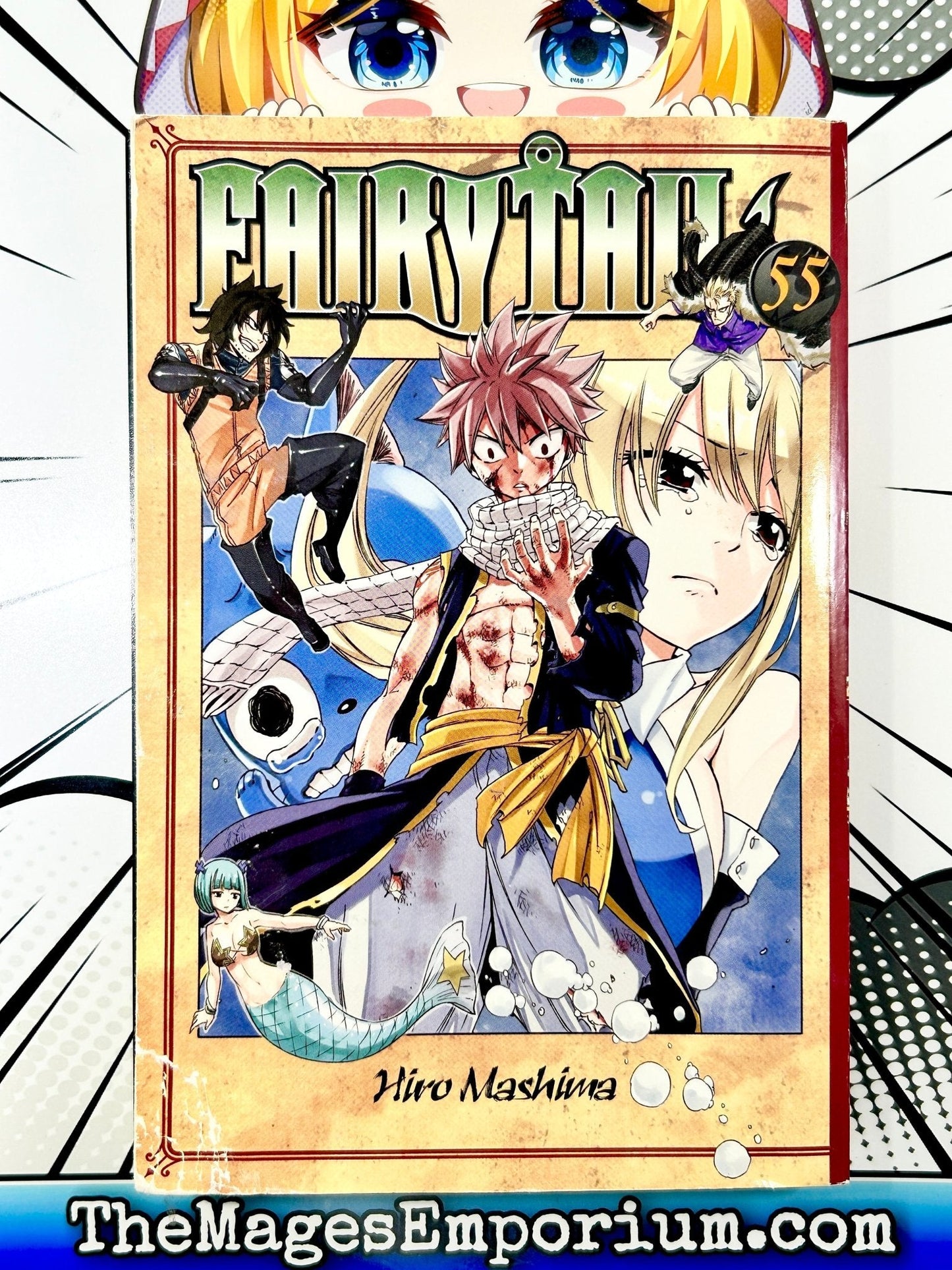 Fairy Tail Vol 55