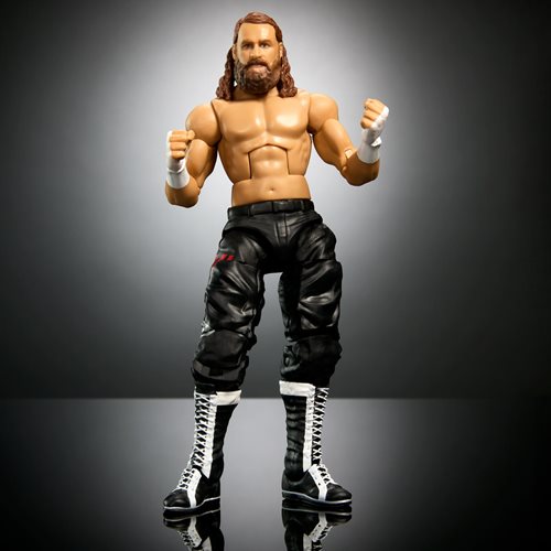 WWE Elite Collection Series 106 Action Figure - Choose your Figure