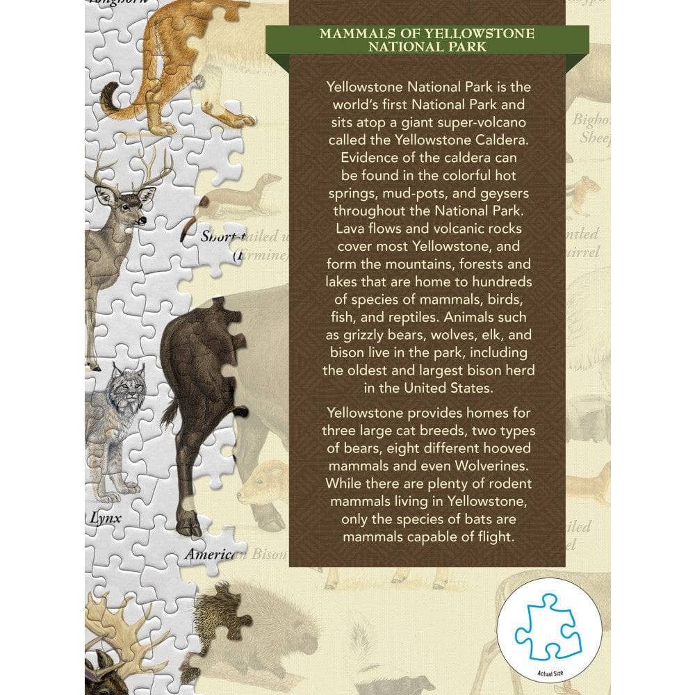 Mammals of Yellowstone National Park 1000 Piece Jigsaw Puzzle