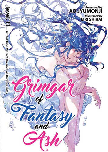 Grimgar of Fantasy and Ash Vol 11 Light Novel