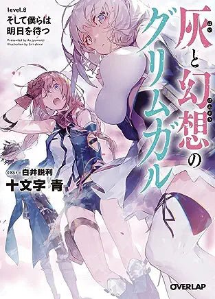 Grimgar Of Fantasy And Ash Vol 8