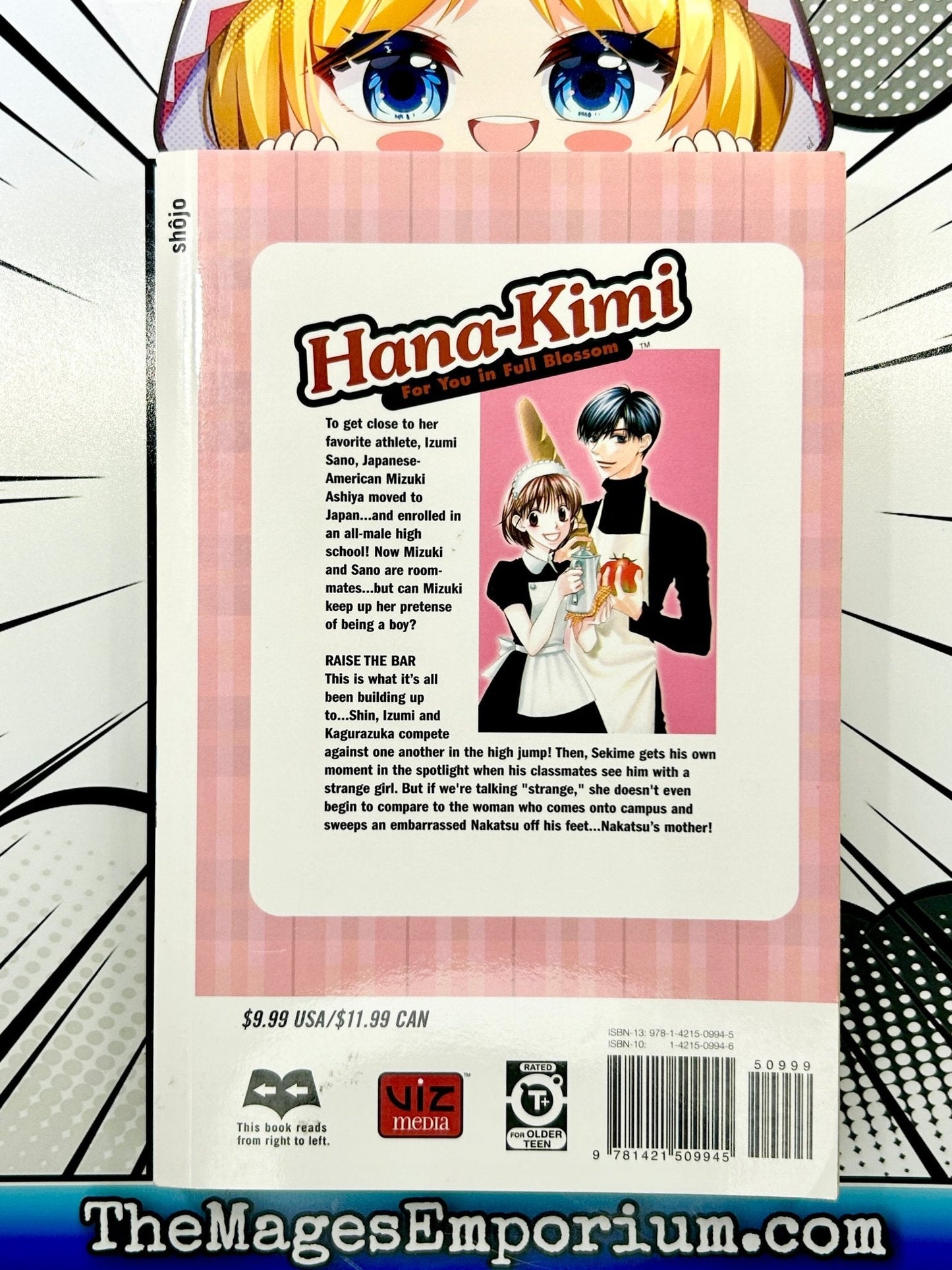 Hana-Kimi Vol 19