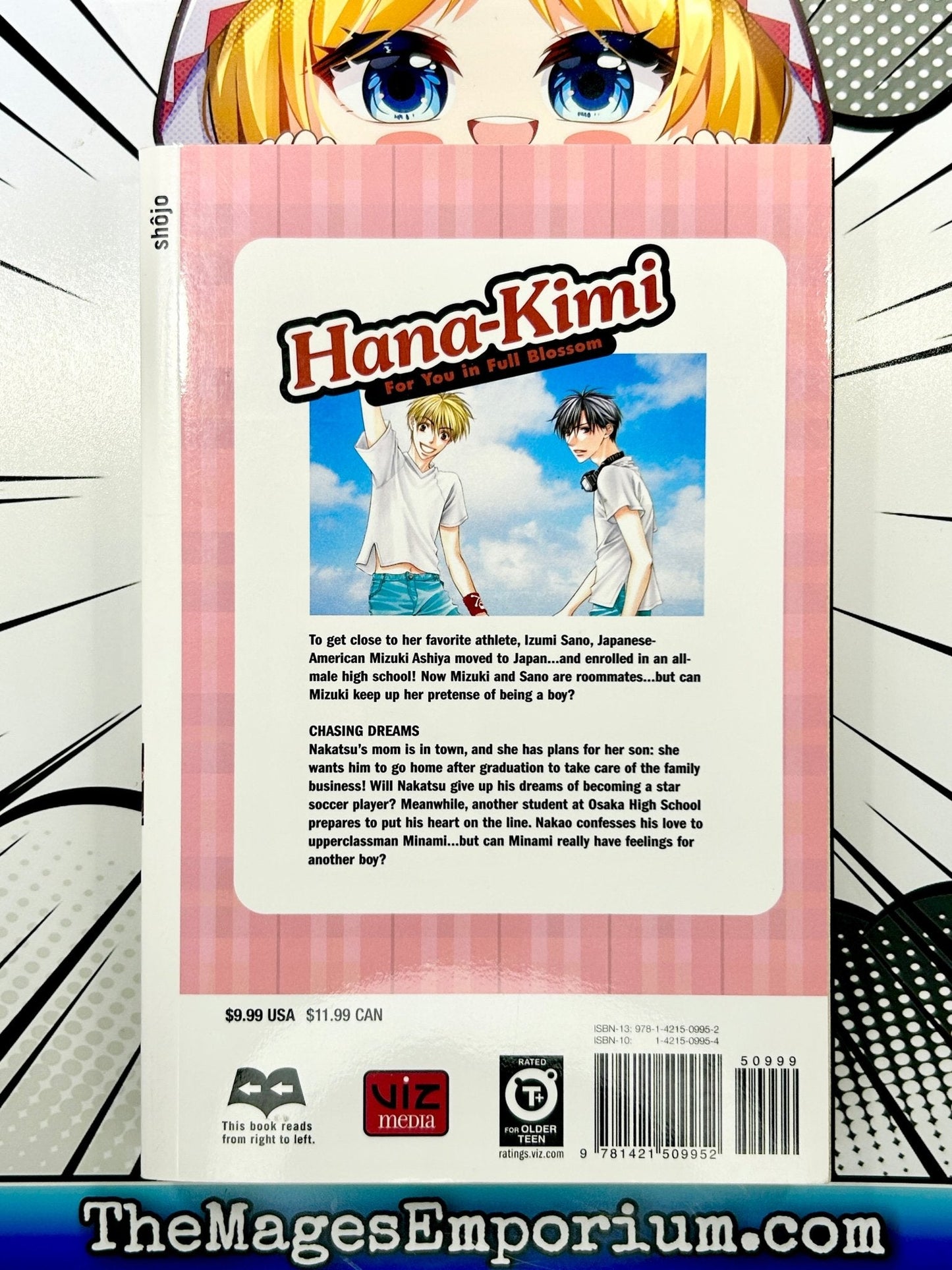 Hana-Kimi Vol 20