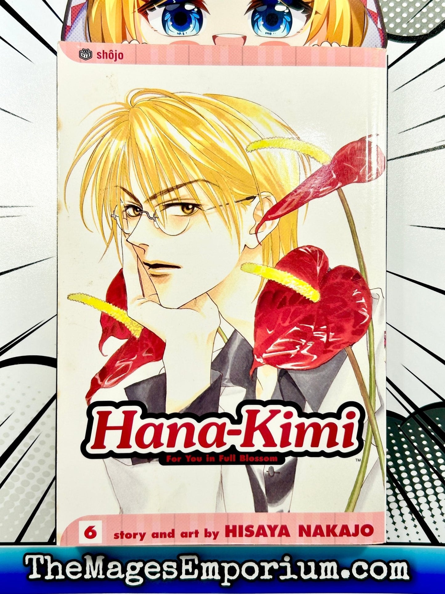 Hana-Kimi Vol 6