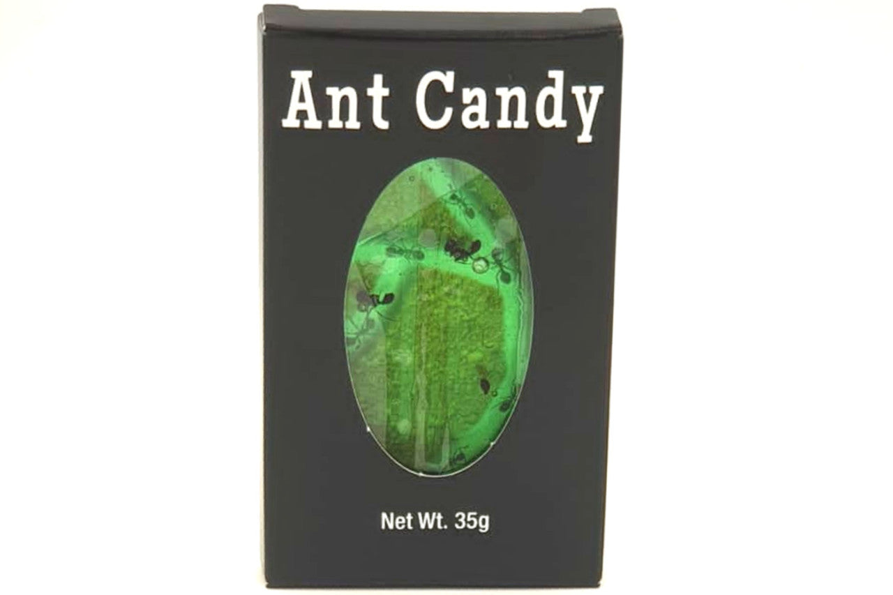 Ant Candy with Real Black Ants