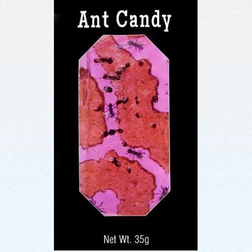 Ant Candy with Real Black Ants