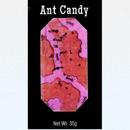 Ant Candy with Real Black Ants