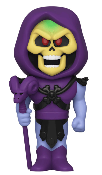 Vinyl Soda: Television (MOTU), Skeletor