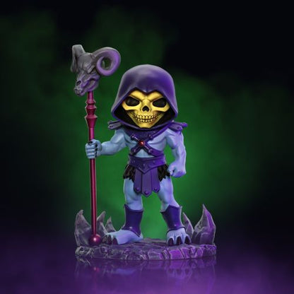 Iron Studios Masters Of The Universe Skeletor MiniCo. Vinyl Figure