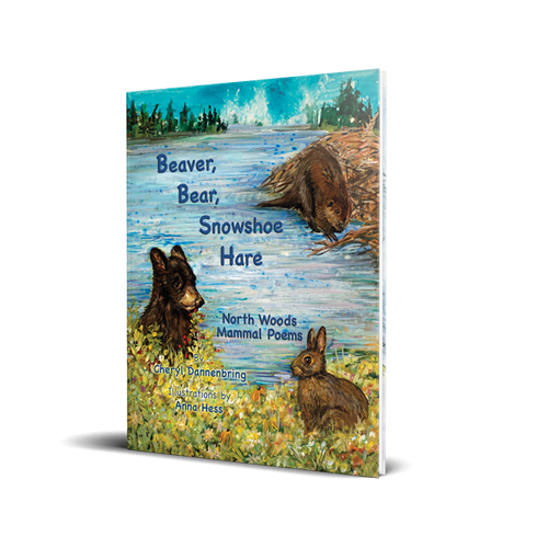 Beaver, Bear, Snowshoe Hare