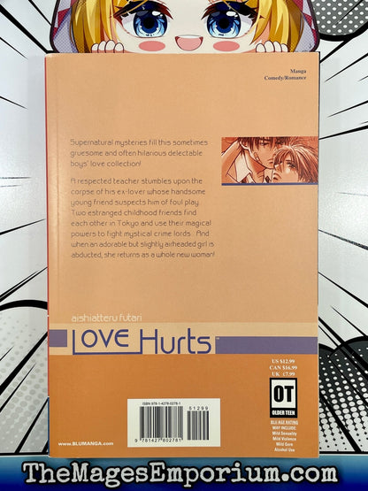 Love Hurts Aishiatteru Futari