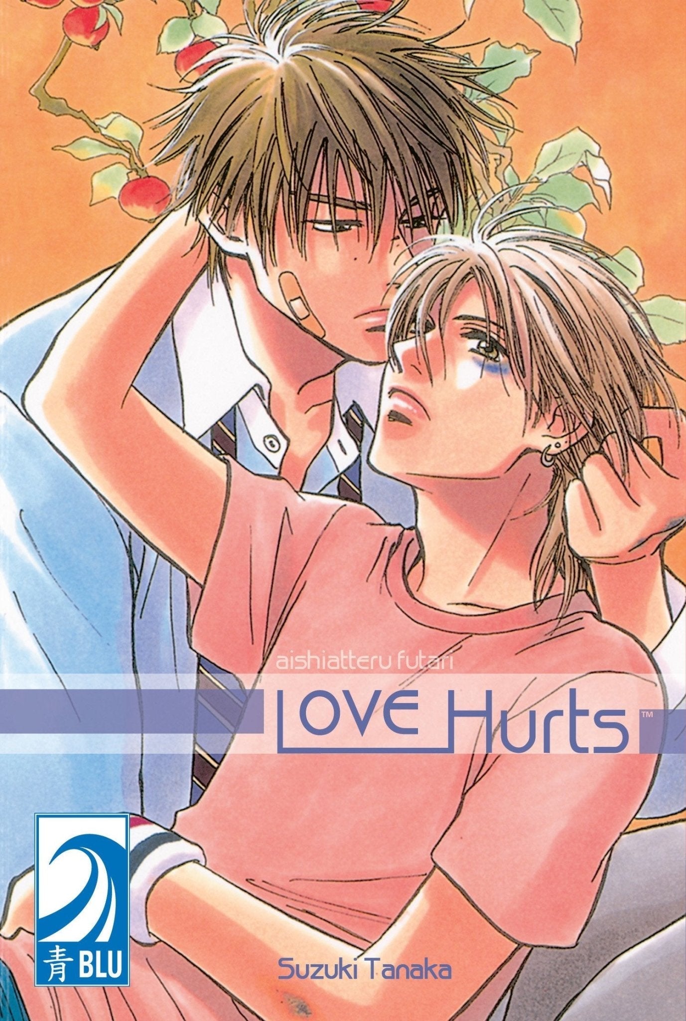 Love Hurts Aishiatteru Futari