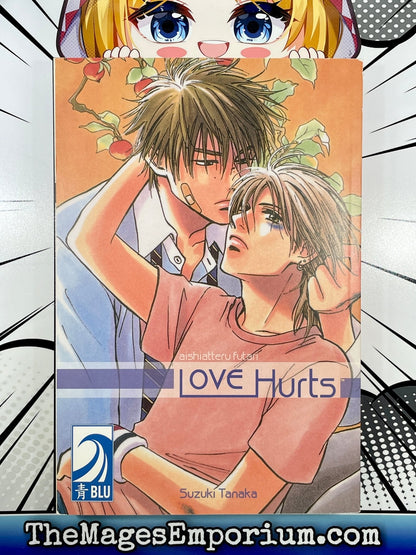 Love Hurts Aishiatteru Futari