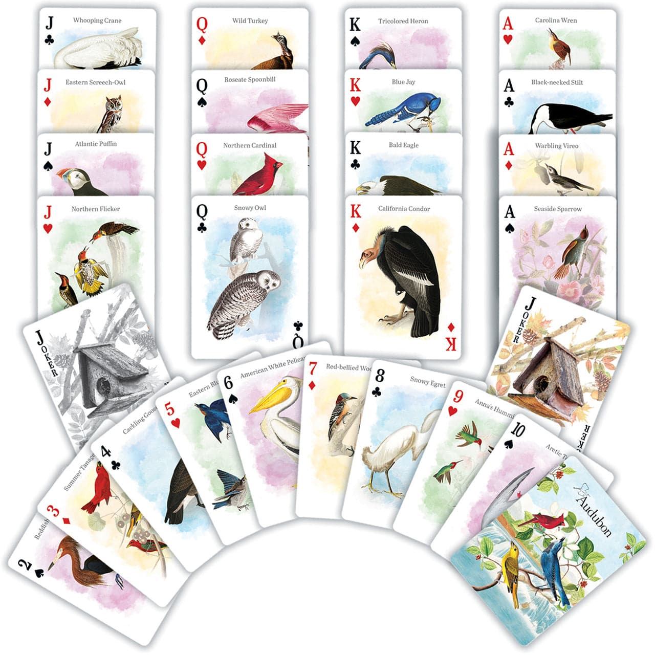 Audubon - Playing Cards